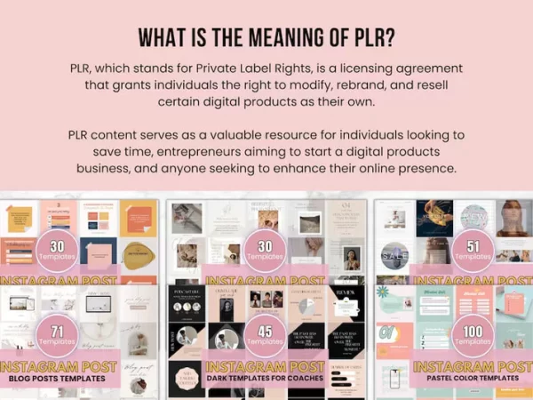 780+ Editable PLR Templates Bundle - Image 6